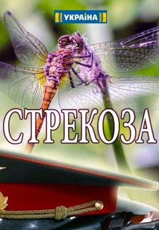 Стрекоза (1,2,3,4 серия) (2018) скачать торрент