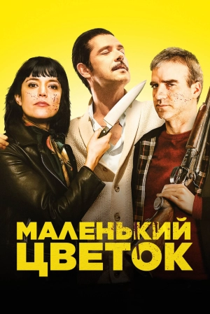 Маленький цветок (2020) скачать торрент