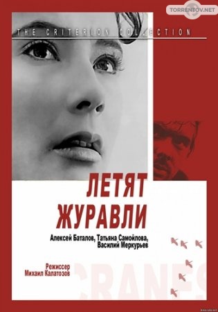 Летят журавли (1957) скачать торрент