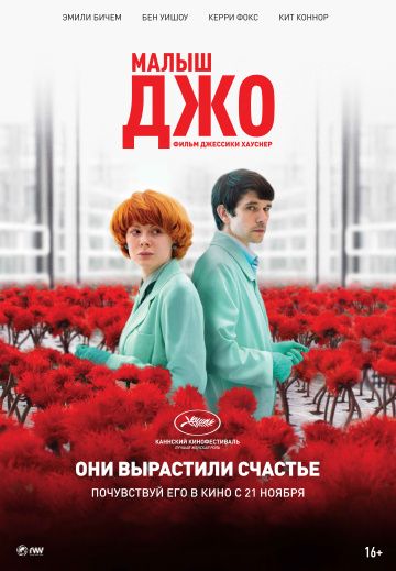 Малыш Джо (2019) скачать торрент