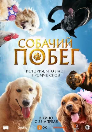 Собачий побег (2023) скачать торрент